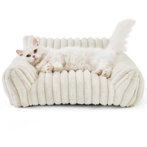 cat on pet sofa