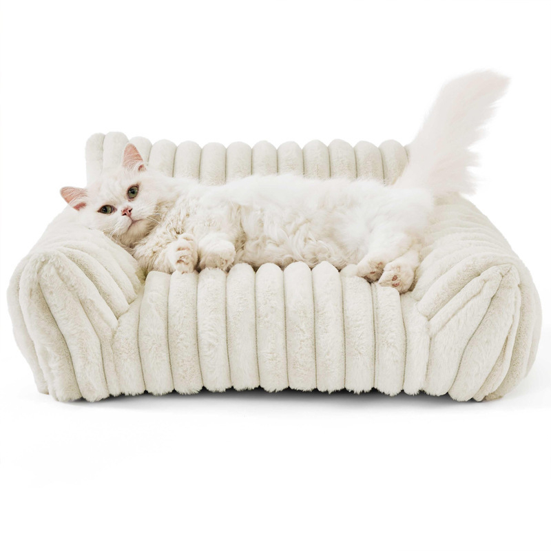 cat on pet sofa
