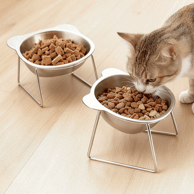 A cat eating from a raised stainless steel bowl