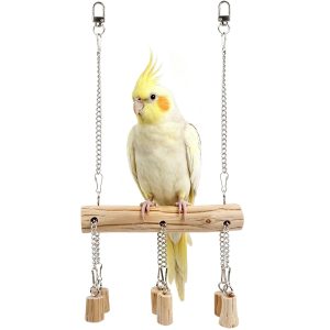a parrot stand on a wooden hanging swing