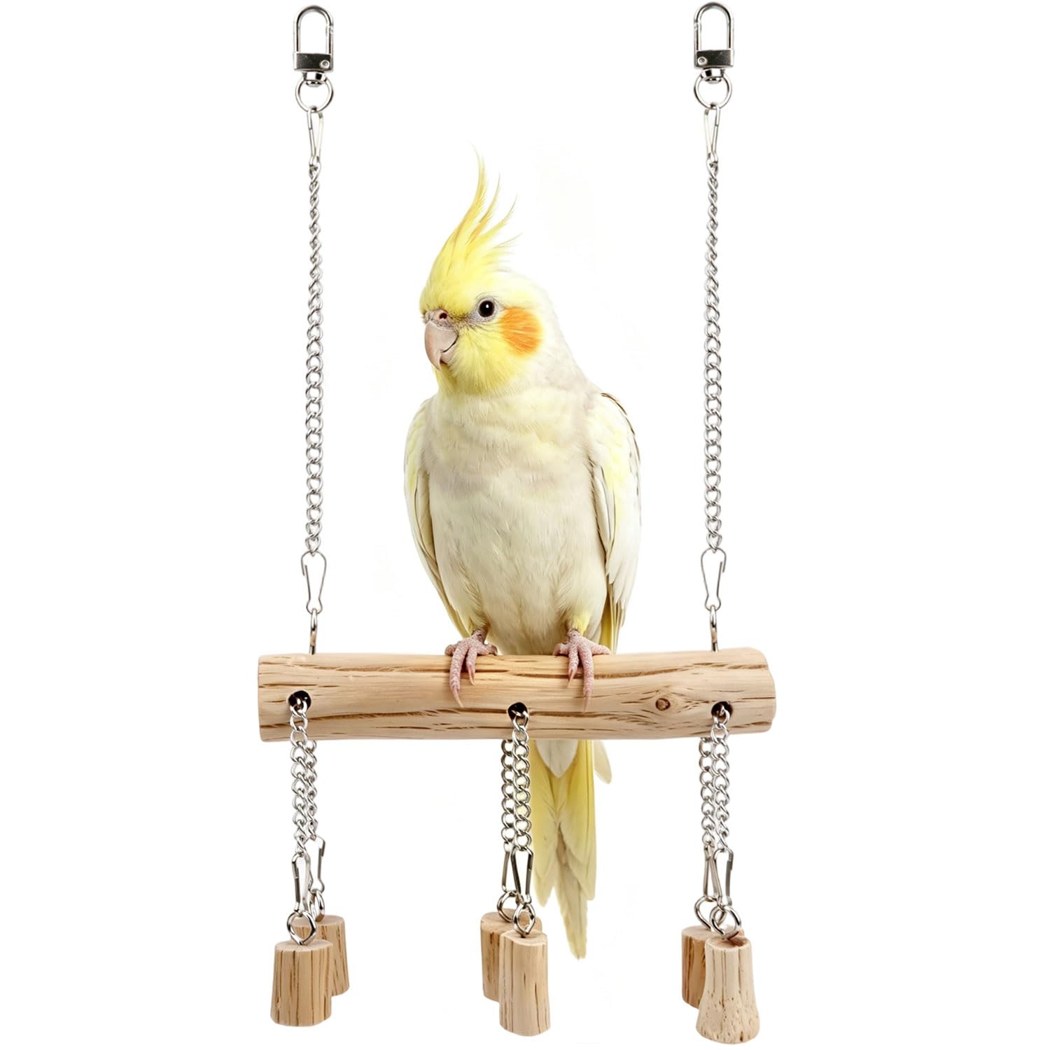 a parrot stand on a wooden hanging swing